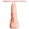 Sujiman Ibo 異母兄弟 太郎 - Image 4